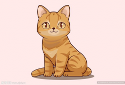 动漫猫,动漫猫的奇幻冒险之旅