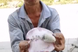 吃瓜爆料大叔是谁啊,网络红人背后的故事